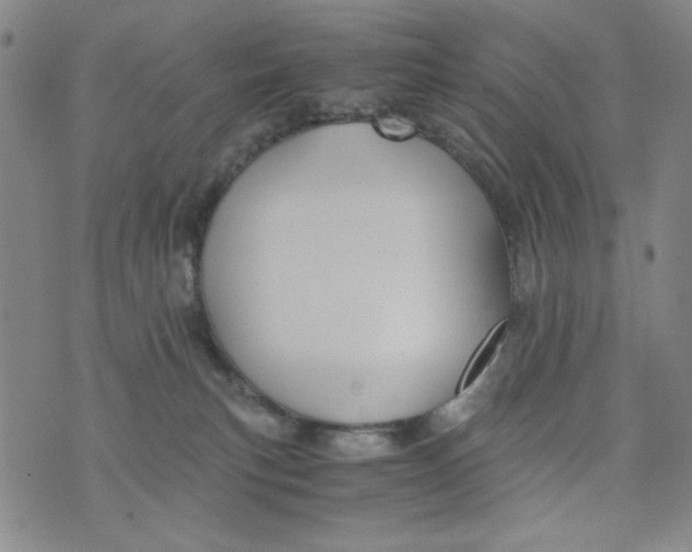 X0000075920183200610062217