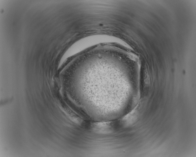 X0000075920184200610062217