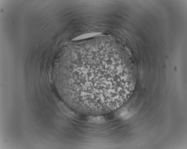 X0000075920185200610062217