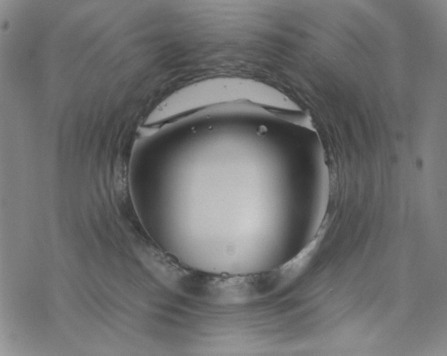 X0000075920186200610062217