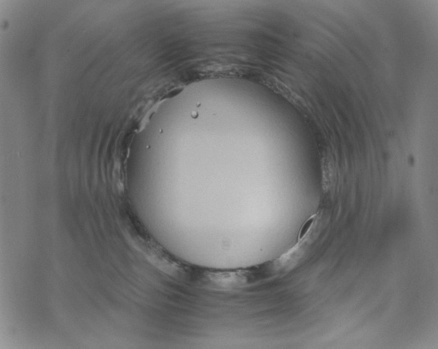 X0000075920187200610062217