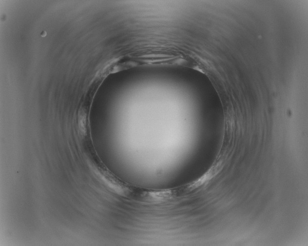 X0000075920188200610062217