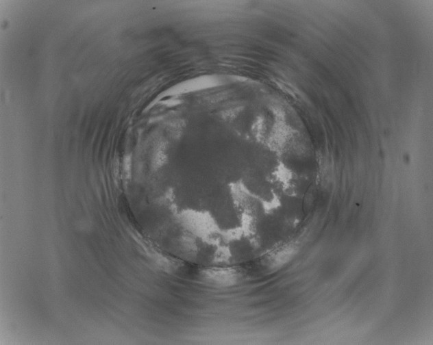 X0000075920189200610062217