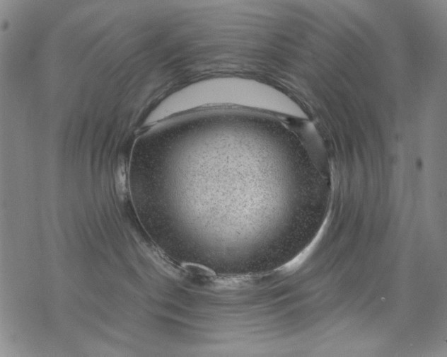 X0000075920190200610062217