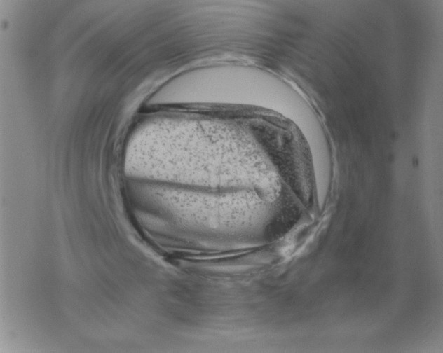 X0000075920193200610062216