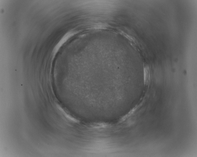 X0000075920195200610062216