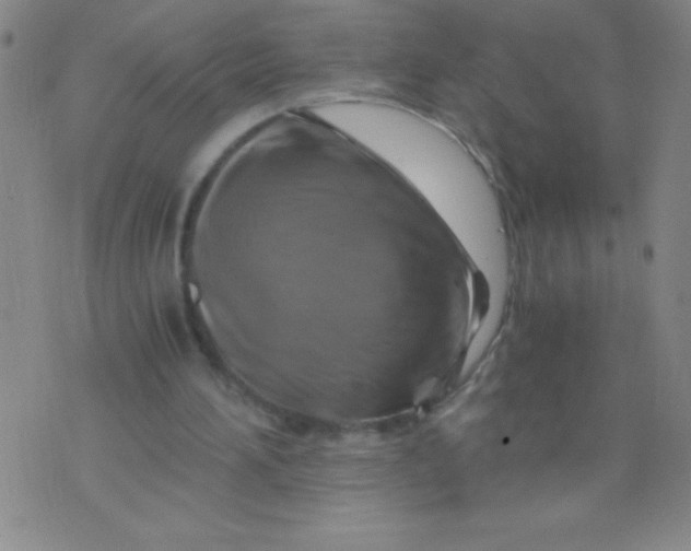 X0000075920196200610062216