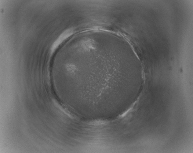 X0000075920198200610062216