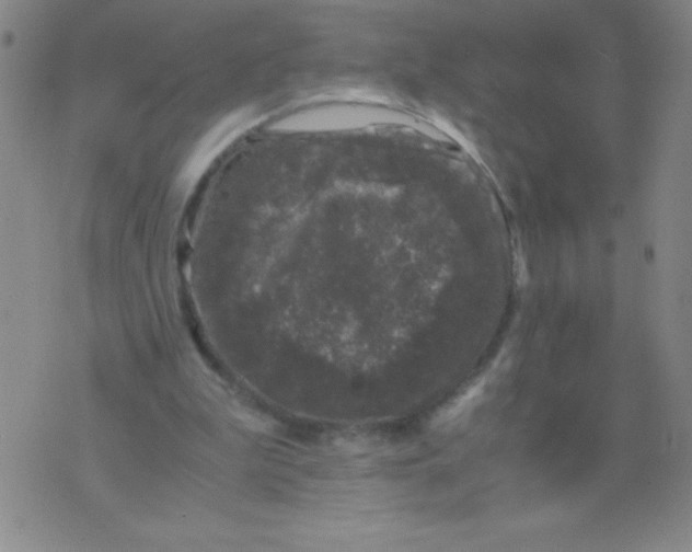 X0000075920199200610062216