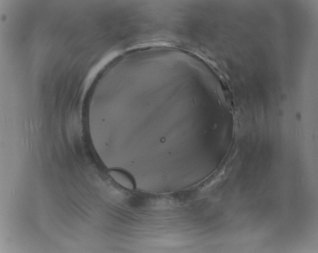 X0000075920200200610062216