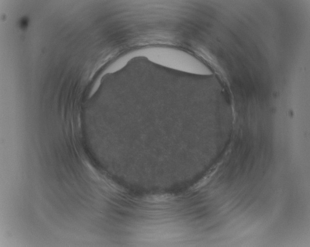 X0000075920202200610062216