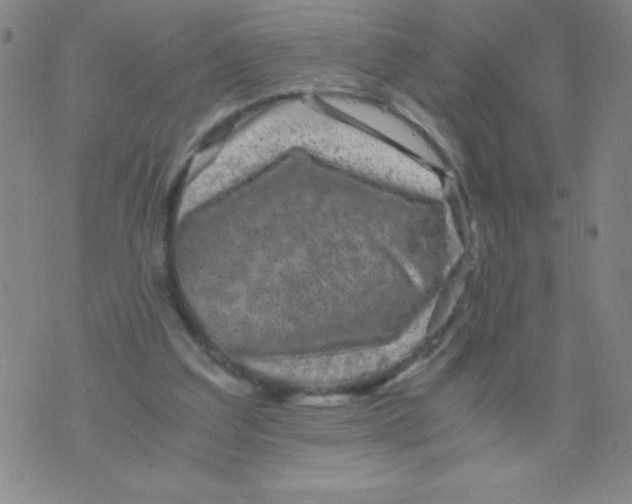 X0000075920203200610062216