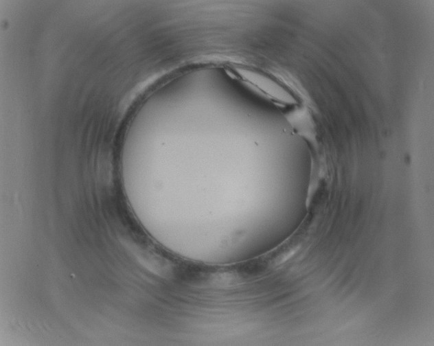 X0000075920204200610062216