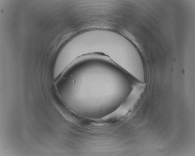 X0000075920205200610062216