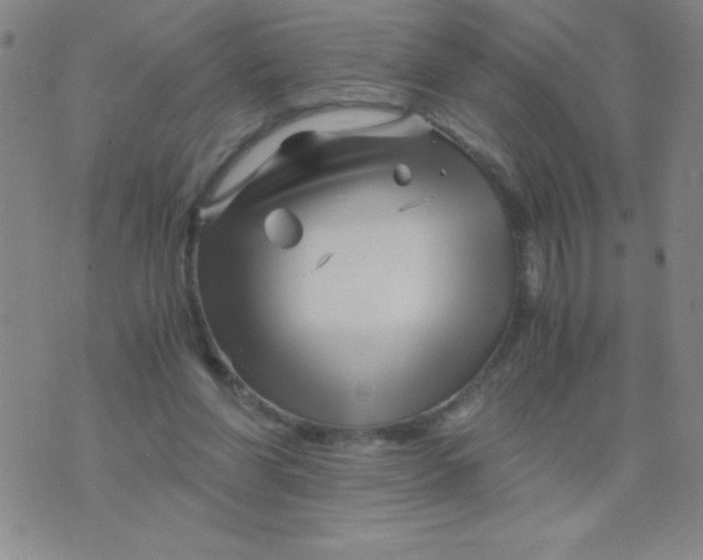 X0000075920206200610062216