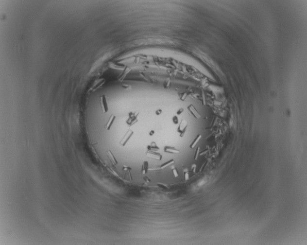 X0000075920207200610062216