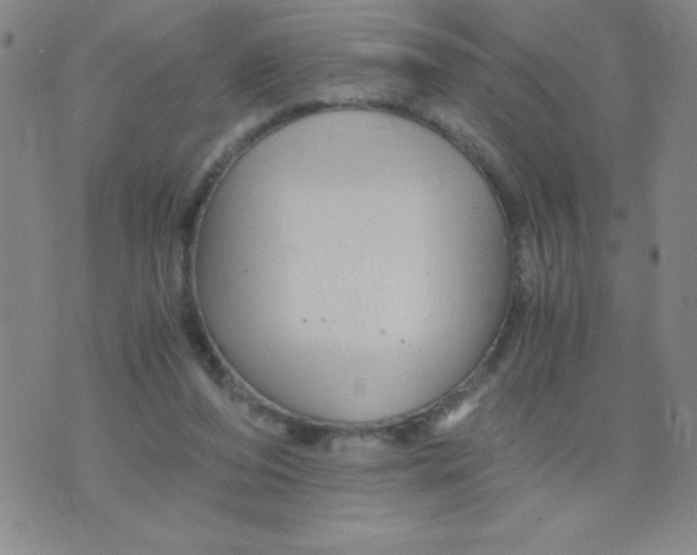 X0000075920208200610062216