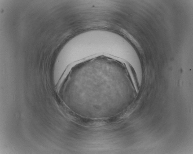 X0000075920209200610062216