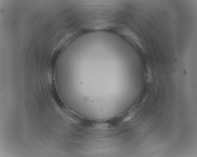 X0000075920210200610062216