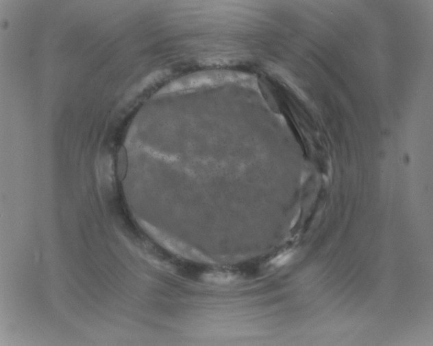 X0000075920211200610062216