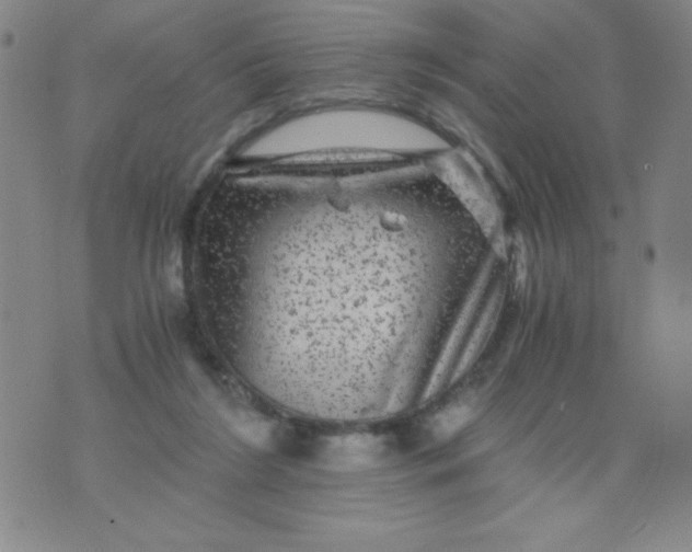 X0000075920212200610062216