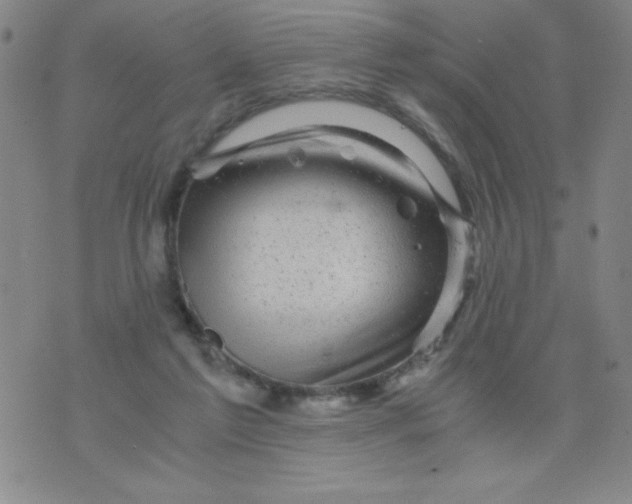 X0000075920213200610062216