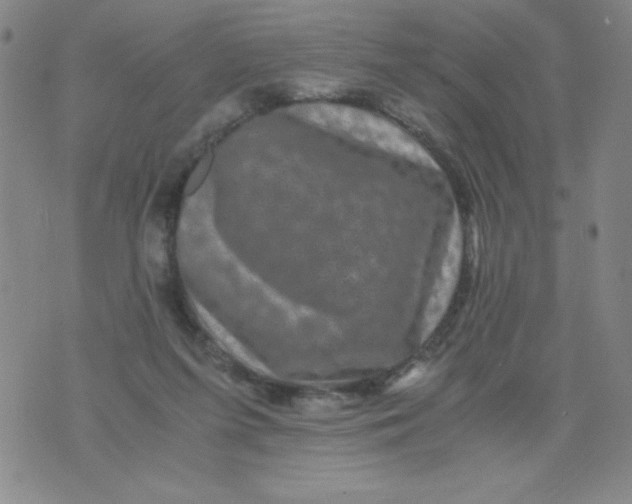 X0000075920215200610062216