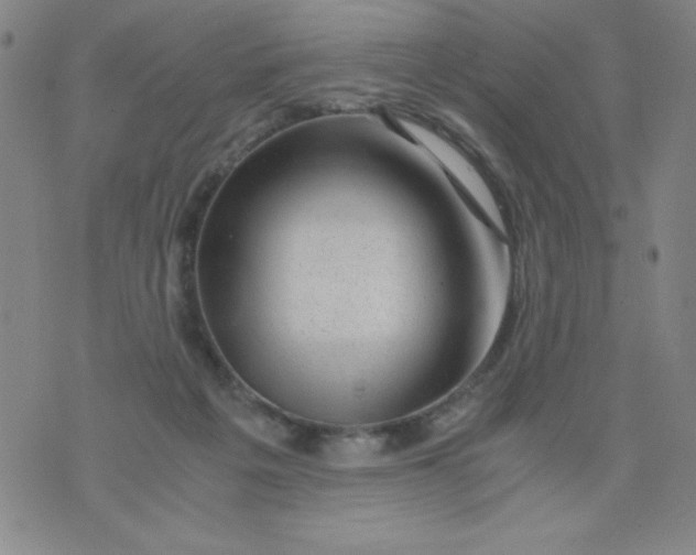 X0000075920217200610062216