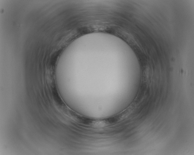 X0000075920218200610062216