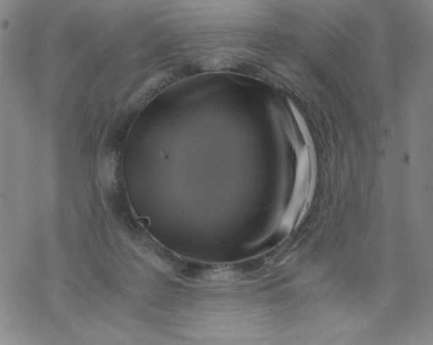 X0000075920219200610062216