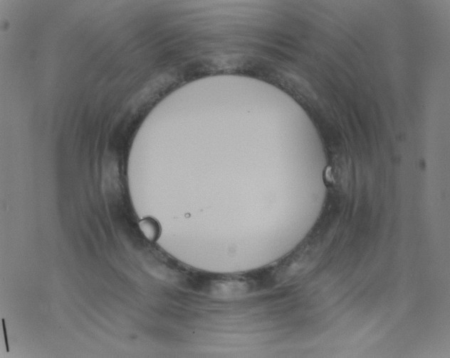 X0000075920220200610062216