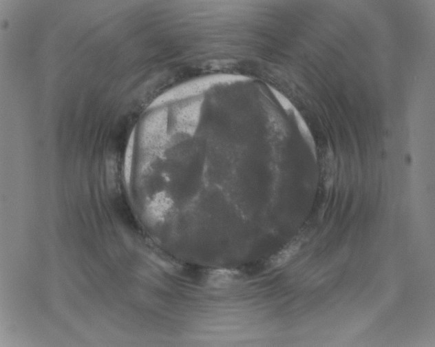 X0000075920222200610062216