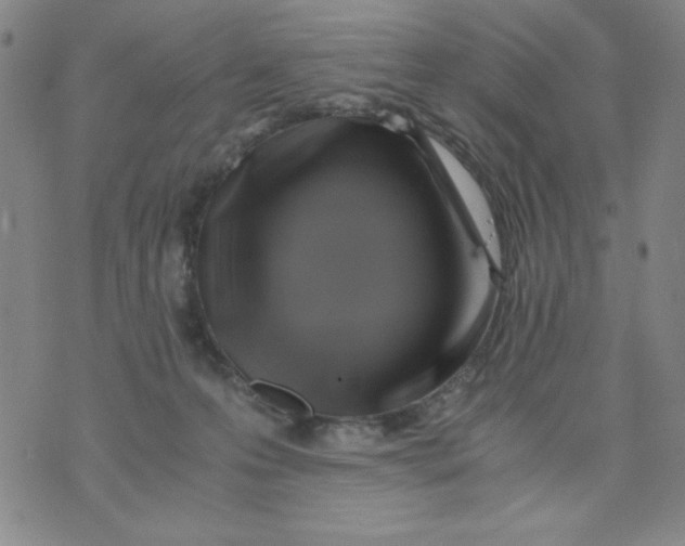 X0000075920223200610062215