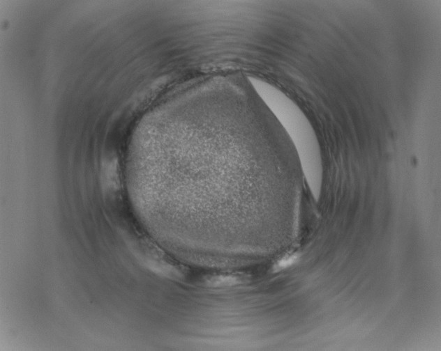 X0000075920224200610062215