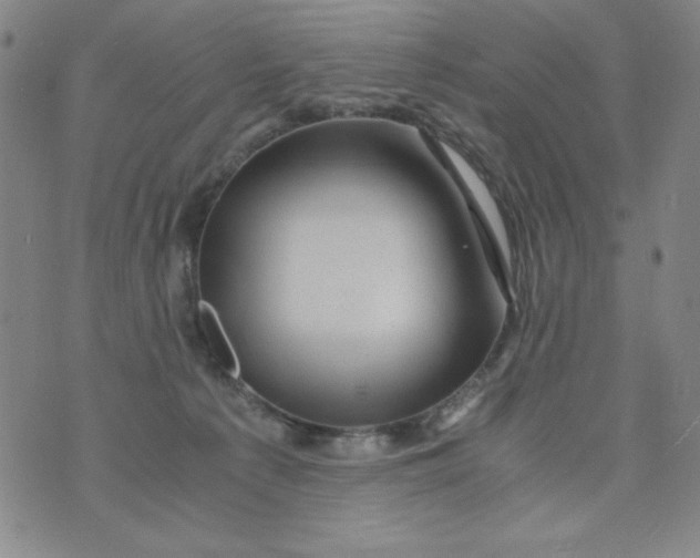 X0000075920225200610062215