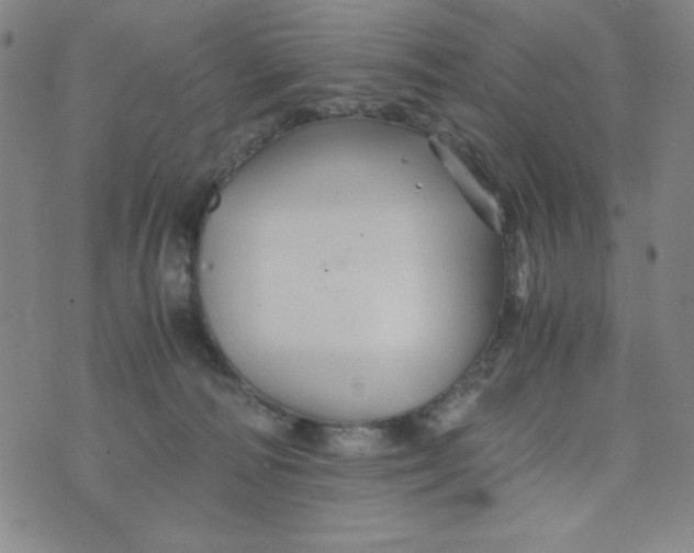 X0000075920226200610062215