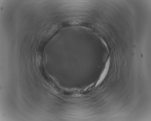 X0000075920227200610062215