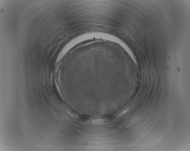 X0000075920228200610062215