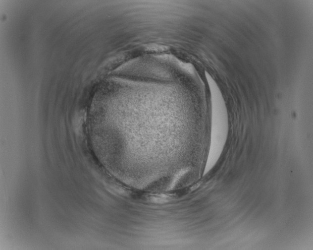 X0000075920229200610062215