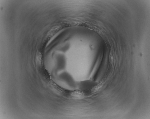 X0000075920231200610062215