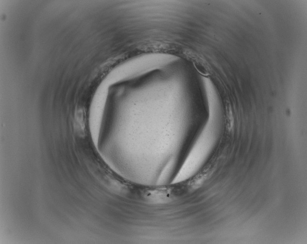 X0000075920232200610062215