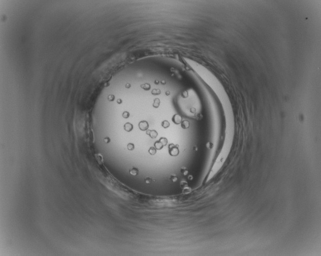 X0000075920233200610062215