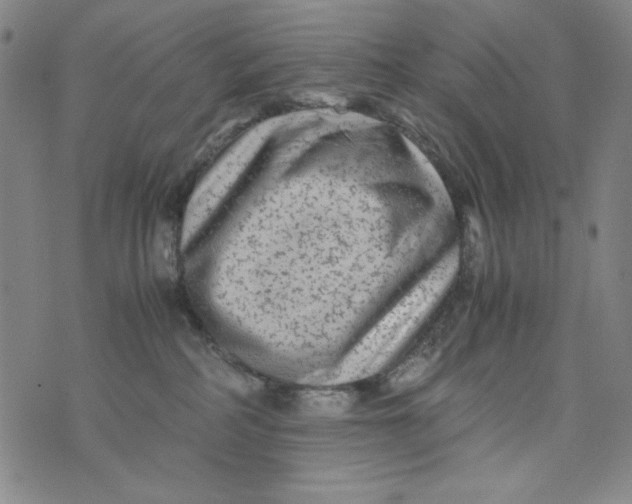 X0000075920234200610062215