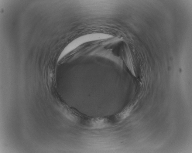 X0000075920235200610062215