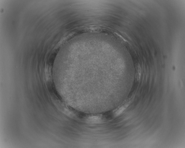 X0000075920236200610062215