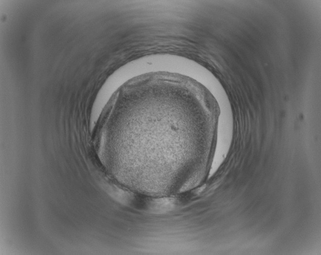 X0000075920237200610062215