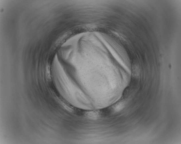 X0000075920238200610062215