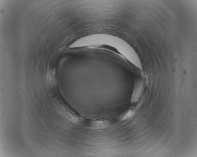 X0000075920239200610062215