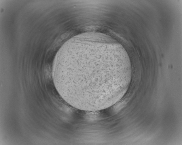 X0000075920240200610062215