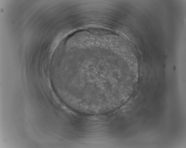 X0000075920241200610062214